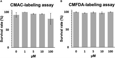 Fluorescent non transgenic schistosoma to decipher host-parasite phenotype compatibility